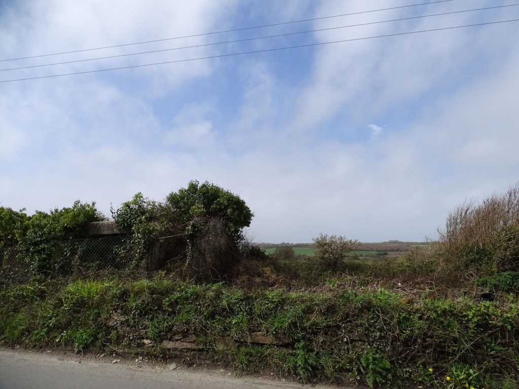 Lot: 34 - PARCEL OF LAND WITH DERELICT BARN - Land and ruins